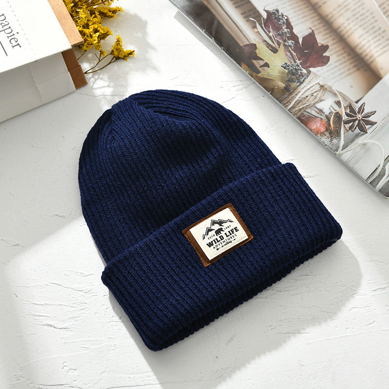 Women's Windproof Warm Knitted Hat Beanie