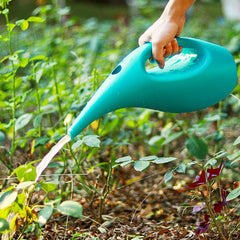 Plastic Watering Can for Indoor Plants Large Capacity