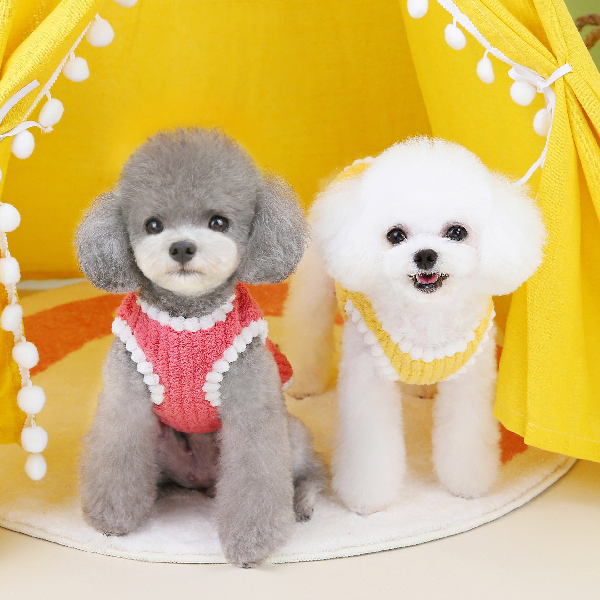 Pet Plush Vest Winter Warm Dog Coat with Bear Pattern Small Dog Soft Clothes
