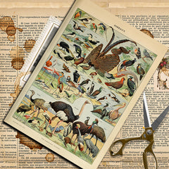 10pcs Large Size Retro Insect Journal Paper for DIY Gift