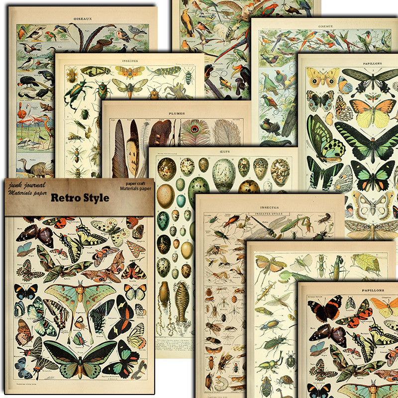 10pcs Large Size Retro Insect Journal Paper for DIY Gift