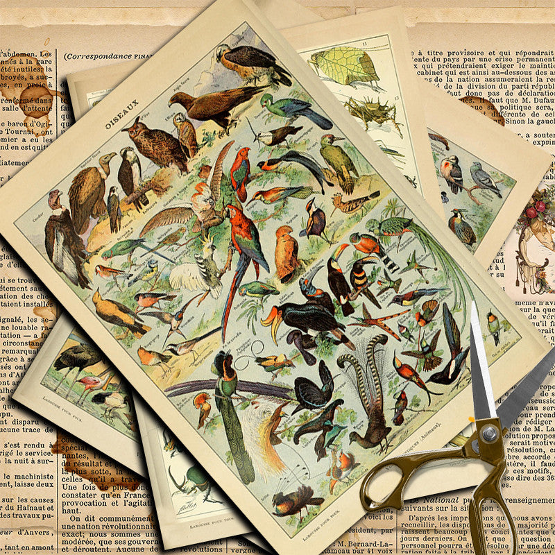 10pcs Large Size Retro Insect Journal Paper for DIY Gift