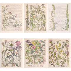 20pcs Large Size Wildflowers Paper Retro Insect Journal Background DIY Gift