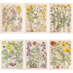 20pcs Large Size Wildflowers Paper Retro Insect Journal Background DIY Gift