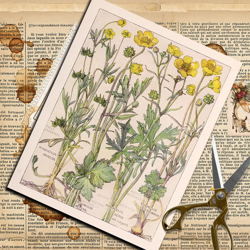 20pcs Large Wildflowers Paper Stickers DIY Arts Crafts Stationery Decoration