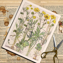 20pcs Large Wildflowers Paper Stickers DIY Arts Crafts Stationery Decoration