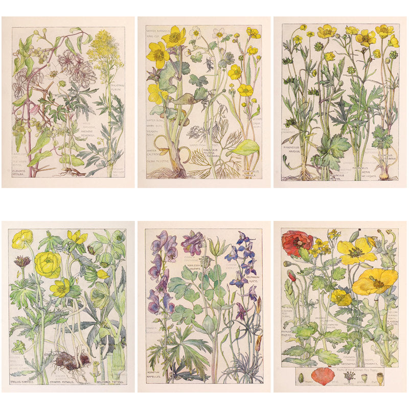 20pcs Large Wildflowers Paper Stickers DIY Arts Crafts Stationery Decoration