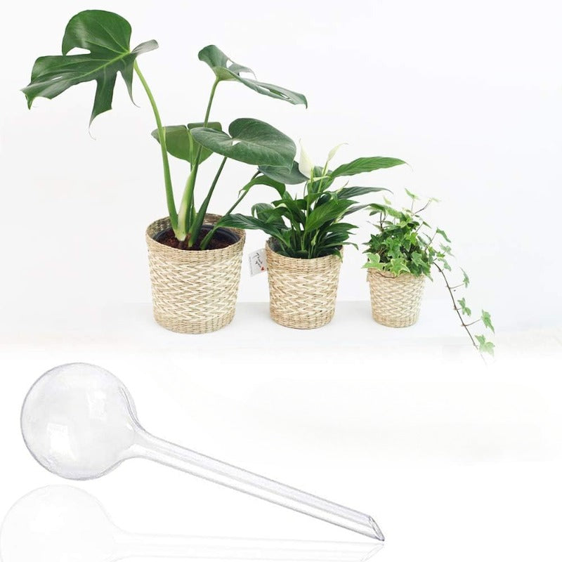 8pcs Clear Plant Watering Globes Self Watering Bulbs Automatic Waterer