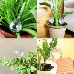 8pcs Clear Plant Watering Globes Self Watering Bulbs Automatic Waterer