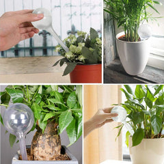 8pcs Clear Plant Watering Globes Self Watering Bulbs Automatic Waterer