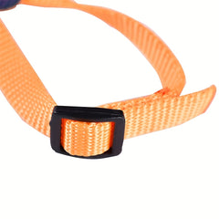 Adjustable Colorful Parrot Harness With Leash for Small Pets