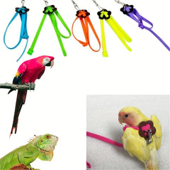 Adjustable Colorful Parrot Harness With Leash for Small Pets