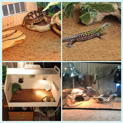 3pcs Coconut Fiber Terrarium Liner for Reptiles, Snakes, Geckos, Turtle Bedding