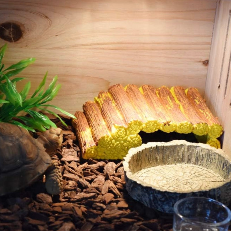 2pcs Reptile Water And Food Bowls for Lizards, Bearded Dragons, Snakes