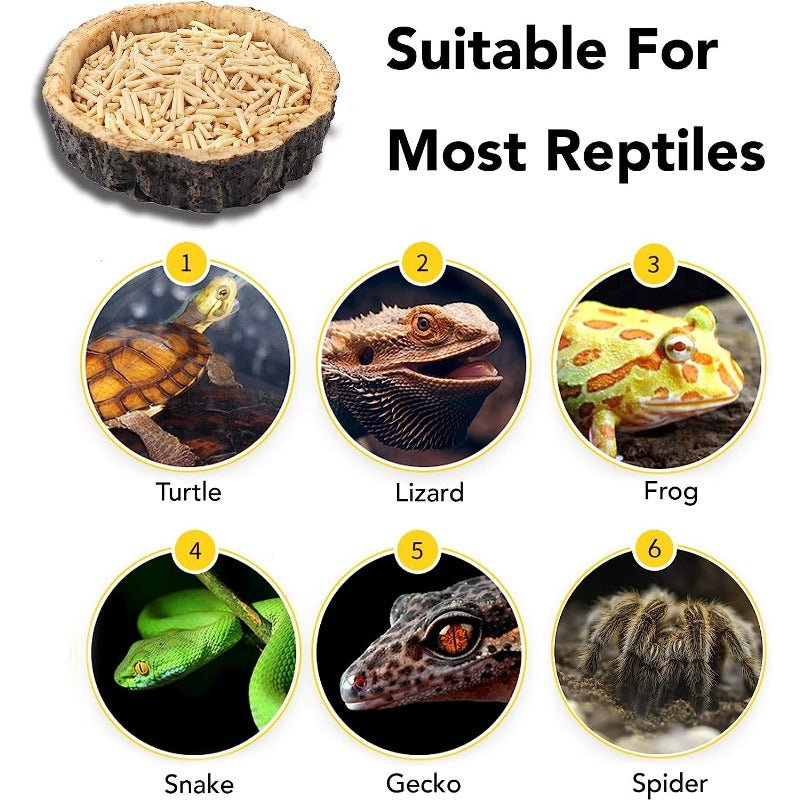 2pcs Reptile Water And Food Bowls for Lizards, Bearded Dragons, Snakes