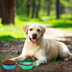 Pet Collapsible Silicone Bowl With Cover - Dog Travel Bowl