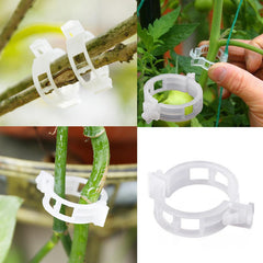 Plant Support Clips Garden Plastic Clips Tomato Vine Trellis Clips