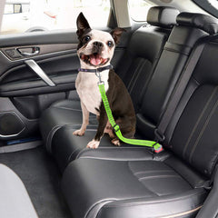 Reflective Dog Seat Belt Adjustable Nylon Harness for Safe Car Travel