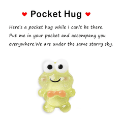 Pocket Hug Resin Animal Decoration with Encouraging Greeting Card