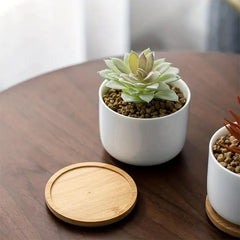 2pcs Wooden Trays Plant Saucer For Flower Pot Home Decor