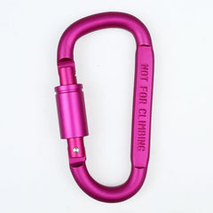 MAIDEZHI D Carabiner Aluminum Spring Hook Backpack Hanging Buckle