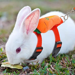 Adjustable Bunny Rabbit Harness And Leash Set For Small Pets - Fruit Pattern