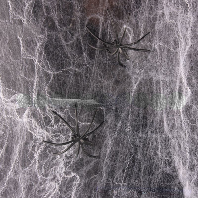 Halloween Spider Webs with 2 Small Spiders, Haunted House Decor