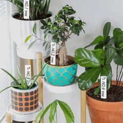 100pcs 10 16 Cm Plastic Waterproof Plant Labels Nursery Stake Tags