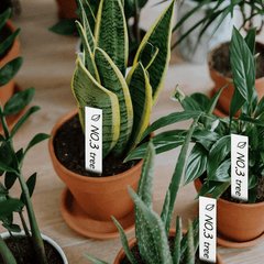 100pcs 10 16 Cm Plastic Waterproof Plant Labels Nursery Stake Tags