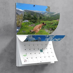 Funny Dog Pooping Wall Calendar Hangable Paper Unique Calendar Gift
