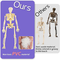 12pcs Mini Skeleton Figurines for Halloween Haunted House Decor