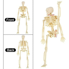 12pcs Mini Skeleton Figurines for Halloween Haunted House Decor