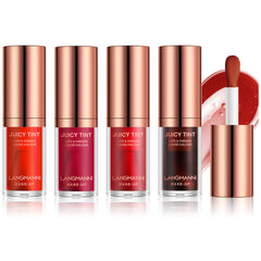 4-in-1 Lipstick Cheek Rouge: Velvet Texture, Long Lasting & Waterproof