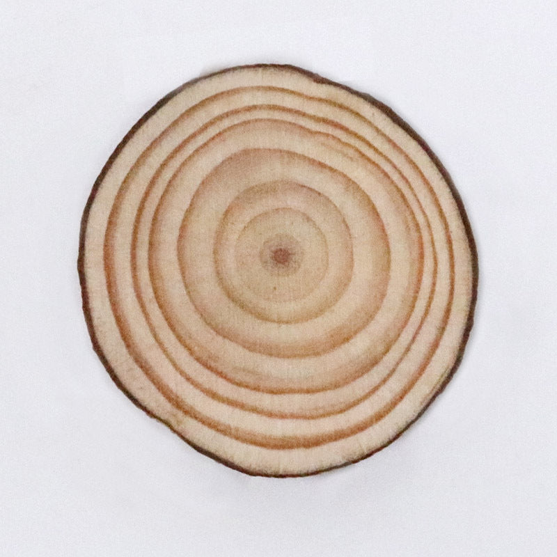 5pcs Large Natural Wood Slices for Centerpieces DIY Craft Decorations