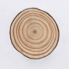 5pcs Large Natural Wood Slices for Centerpieces DIY Craft Decorations