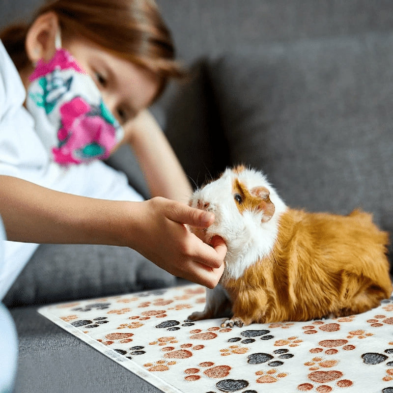 3pcs Hamster Blankets Fleece Cage Liners Pet Sleep Mat Pad Cover Warm Flannel Th