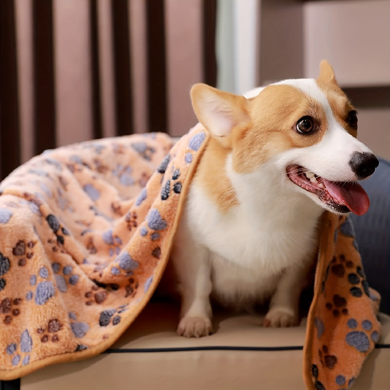 3pcs Hamster Blankets Fleece Cage Liners Pet Sleep Mat Pad Warm Flannel Throw