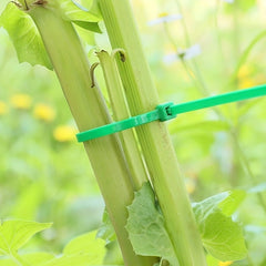 100pcs Gardening Zip Ties Self Locking Plant Cables For Gardening