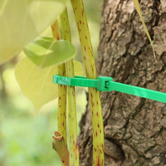 100pcs Gardening Zip Ties Self Locking Plant Cables For Gardening