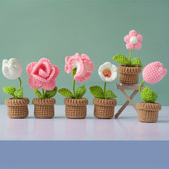 DIY Crochet Material Package for Making Hanging Ornaments