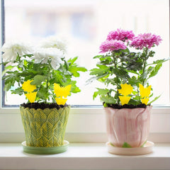 10pcs Sticky Insect Boards Butterfly Sunflower Pattern Non Toxic For Home