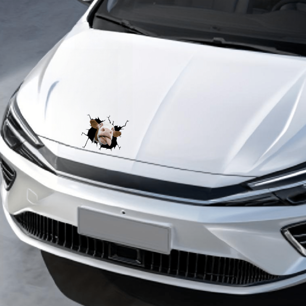 Cow Car Sticker Funny Animal Decal Realistic Auto Decoration Decal
