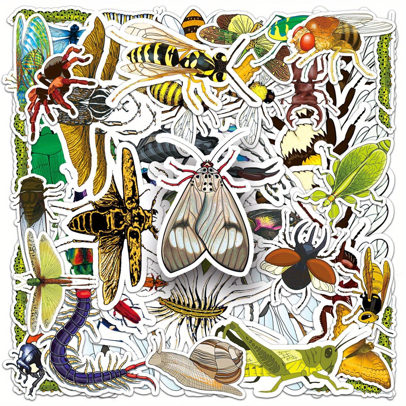 60pcs Insect Stickers Beetle Butterfly Waterproof Cartoon Decoration
