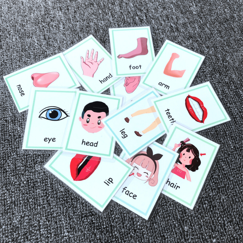 Waterproof Plastic Flash Cards for English Learning