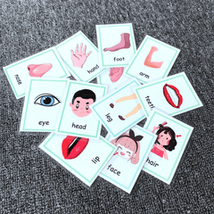 Waterproof Plastic Flash Cards for English Learning