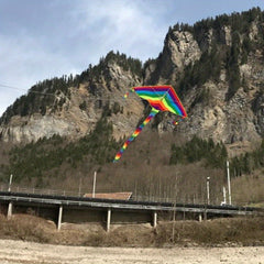 Rainbow Kite Long Tail Outdoor Kites Beach Park Yard Creative Kite