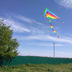Rainbow Kite Long Tail Outdoor Kites Beach Park Yard Creative Kite