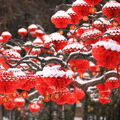 10pcs Red Paper Lights Hanging Lanterns Holiday Decorations