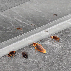 Transparent Self Adhesive Door Seal for Insulation & Waterproofing