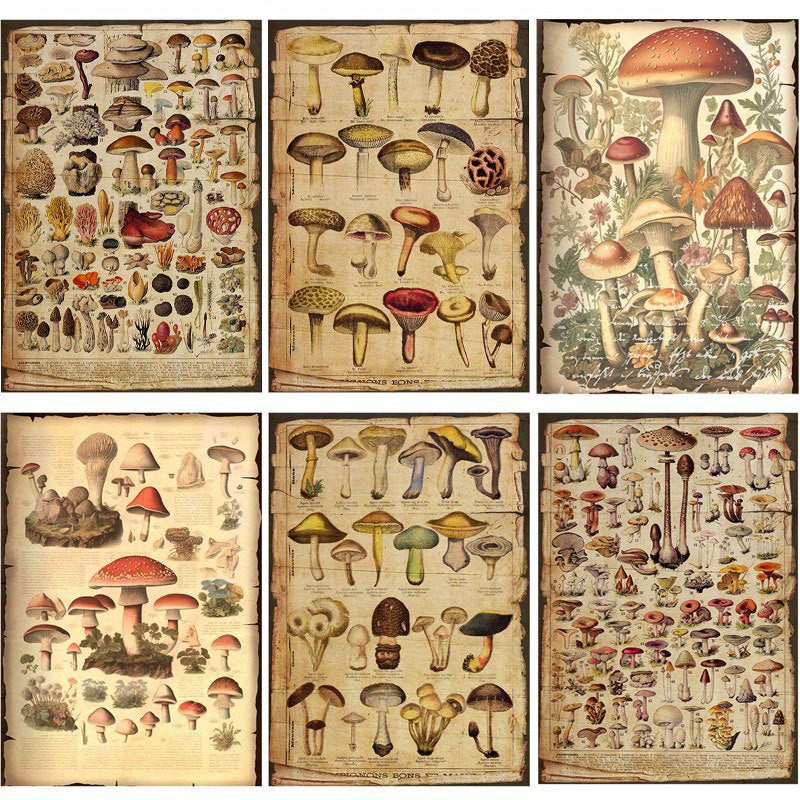 10pcs Large Size Mushroom Illustration Paper Retro Journal Decoration